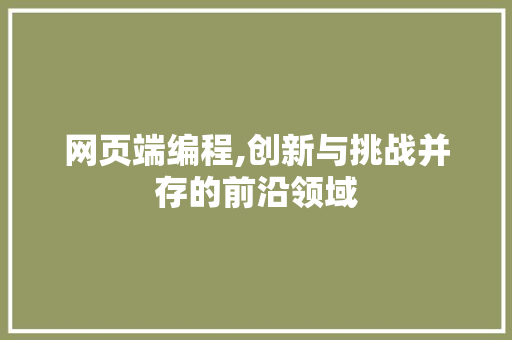 网页端编程,创新与挑战并存的前沿领域