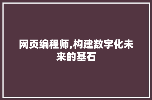 网页编程师,构建数字化未来的基石