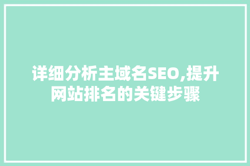 详细分析主域名SEO,提升网站排名的关键步骤