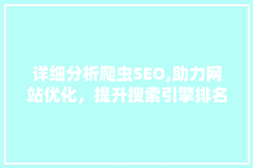 详细分析爬虫SEO,助力网站优化，提升搜索引擎排名