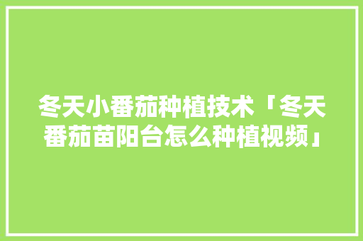 冬天小番茄种植技术「冬天番茄苗阳台怎么种植视频」 冬天小番茄种植技术「冬天番茄苗阳台怎么种植视频」 番茄种植技巧