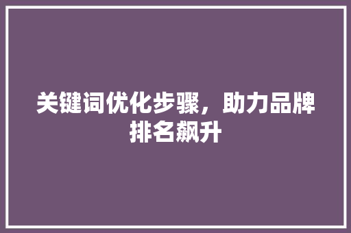 关键词优化步骤，助力品牌排名飙升