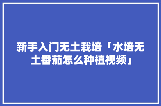 新手入门无土栽培「水培无土番茄怎么种植视频」 新手入门无土栽培「水培无土番茄怎么种植视频」 番茄种植技巧