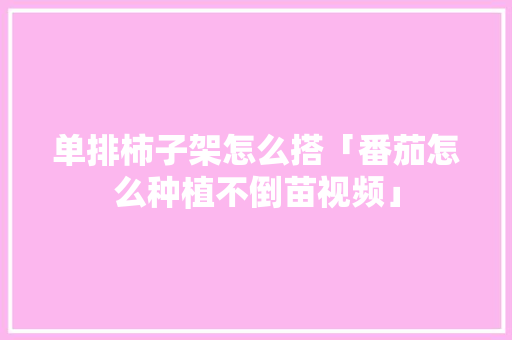 单排柿子架怎么搭「番茄怎么种植不倒苗视频」