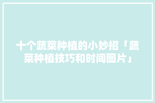 十个蔬菜种植的小妙招「蔬菜种植技巧和时间图片」 十个蔬菜种植的小妙招「蔬菜种植技巧和时间图片」 农业常识