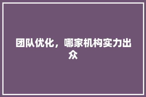 团队优化，哪家机构实力出众