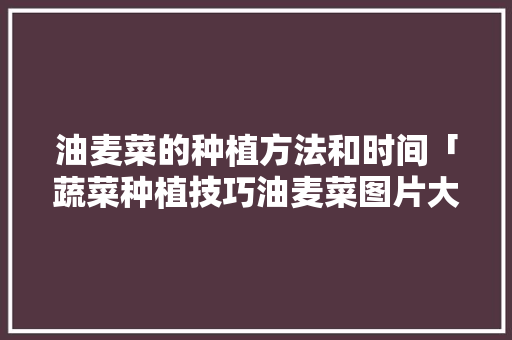 油麦菜的种植方法和时间「蔬菜种植技巧油麦菜图片大全」 番茄病虫害防治 油麦菜的种植方法和时间「蔬菜种植技巧油麦菜图片大全」 油麦菜的种植方法和时间「蔬菜种植技巧油麦菜图片大全」 番茄病虫害防治