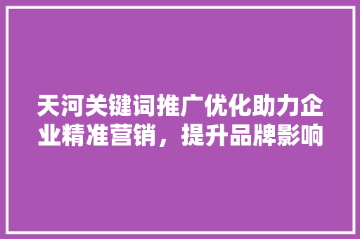 天河关键词推广优化助力企业精准营销，提升品牌影响力