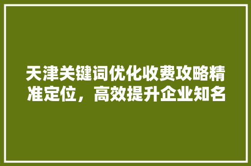 天津关键词优化收费攻略精准定位，高效提升企业知名度