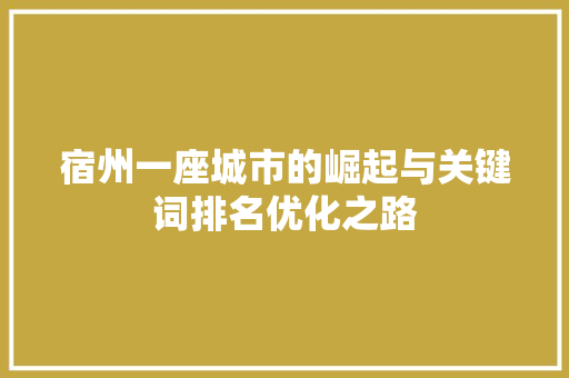 宿州一座城市的崛起与关键词排名优化之路 种植技巧
