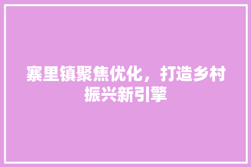 寨里镇聚焦优化，打造乡村振兴新引擎
