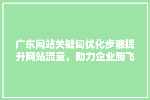 广东网站关键词优化步骤提升网站流量，助力企业腾飞