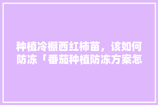 种植冷棚西红柿苗，该如何防冻「番茄种植防冻方案怎么写的」 种植冷棚西红柿苗，该如何防冻「番茄种植防冻方案怎么写的」 番茄病虫害防治