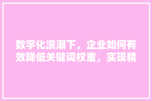 数字化浪潮下，企业如何有效降低关键词权重，实现精准营销 种植技巧