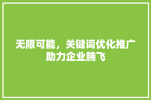 无限可能，关键词优化推广助力企业腾飞 种植技巧