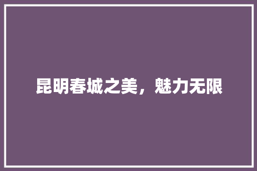 昆明春城之美，魅力无限