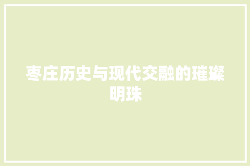 枣庄历史与现代交融的璀璨明珠