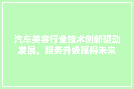 汽车美容行业技术创新驱动发展，服务升级赢得未来