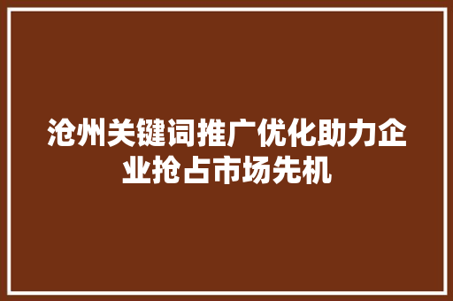 沧州关键词推广优化助力企业抢占市场先机