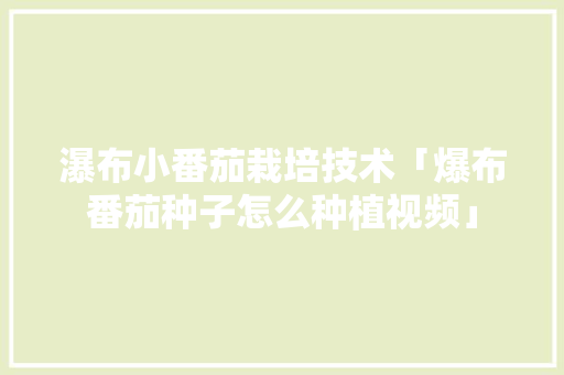 瀑布小番茄栽培技术「爆布番茄种子怎么种植视频」 瀑布小番茄栽培技术「爆布番茄种子怎么种植视频」 番茄种植技巧