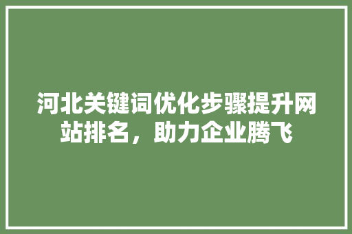 河北关键词优化步骤提升网站排名，助力企业腾飞