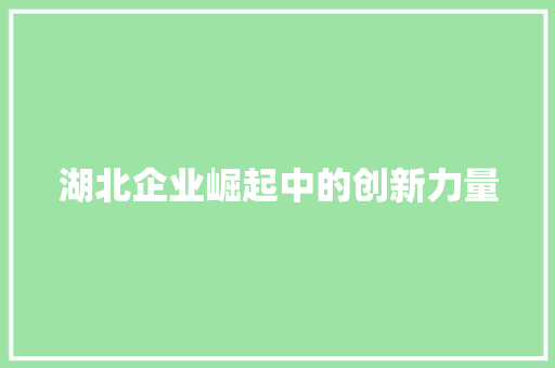 湖北企业崛起中的创新力量