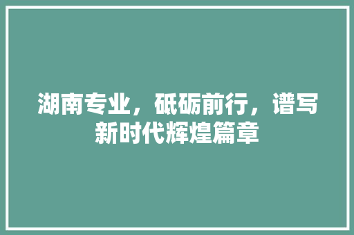 湖南专业，砥砺前行，谱写新时代辉煌篇章