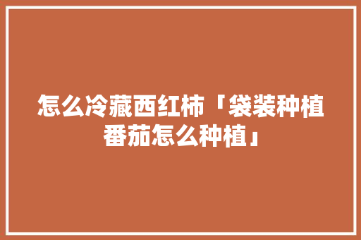 怎么冷藏西红柿「袋装种植番茄怎么种植」