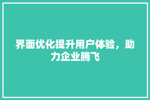 界面优化提升用户体验，助力企业腾飞