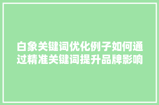 白象关键词优化例子如何通过精准关键词提升品牌影响力