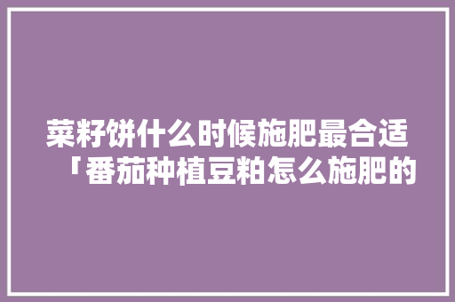 菜籽饼什么时候施肥最合适「番茄种植豆粕怎么施肥的」