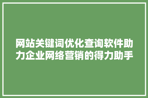 网站关键词优化查询软件助力企业网络营销的得力助手