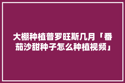 大棚种植普罗旺斯几月「番茄沙甜种子怎么种植视频」 大棚种植普罗旺斯几月「番茄沙甜种子怎么种植视频」 番茄病虫害防治