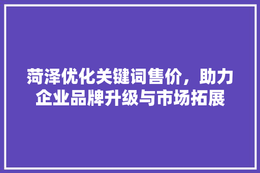 菏泽优化关键词售价，助力企业品牌升级与市场拓展
