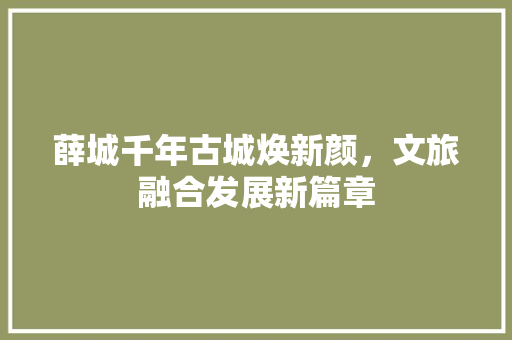 薛城千年古城焕新颜，文旅融合发展新篇章 农业常识