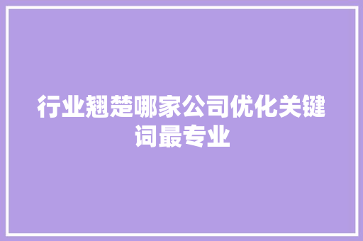 行业翘楚哪家公司优化关键词最专业