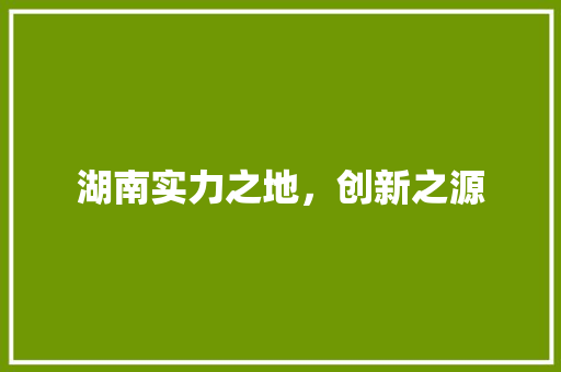 湖南实力之地，创新之源
