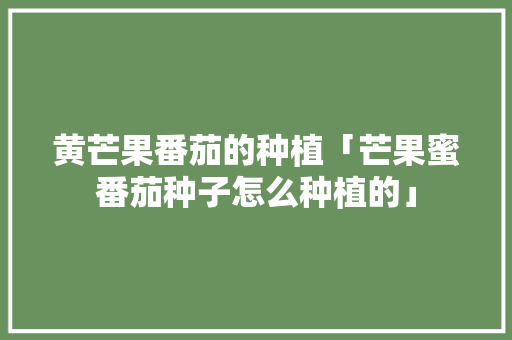 黄芒果番茄的种植「芒果蜜番茄种子怎么种植的」 黄芒果番茄的种植「芒果蜜番茄种子怎么种植的」 番茄病虫害防治