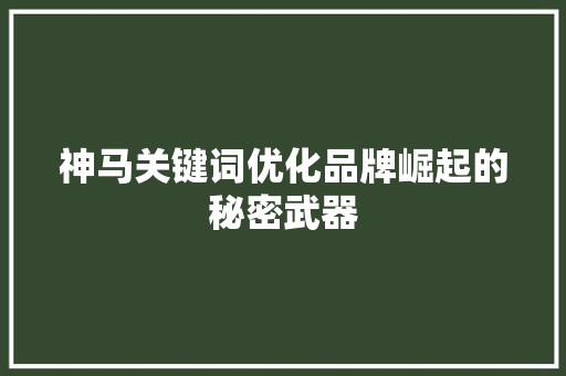 神马关键词优化品牌崛起的秘密武器