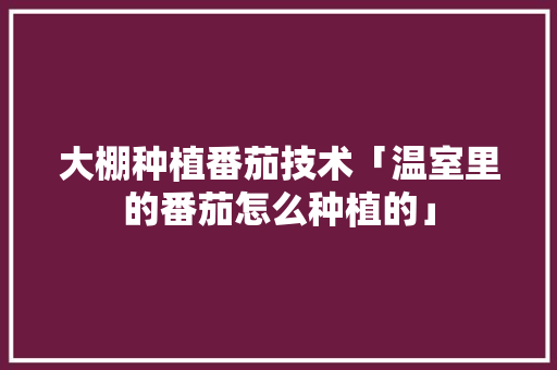 大棚种植番茄技术「温室里的番茄怎么种植的」 大棚种植番茄技术「温室里的番茄怎么种植的」 种植技巧