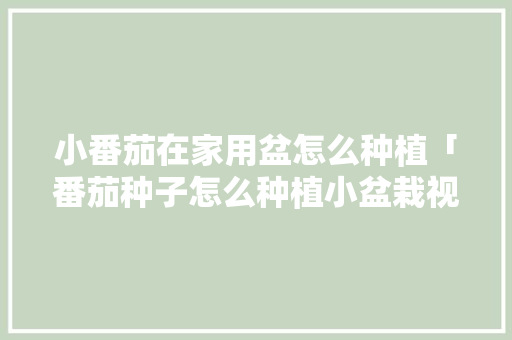 小番茄在家用盆怎么种植「番茄种子怎么种植小盆栽视频」 小番茄在家用盆怎么种植「番茄种子怎么种植小盆栽视频」 种植技巧