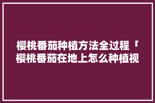 樱桃番茄种植方法全过程「樱桃番茄在地上怎么种植视频」 樱桃番茄种植方法全过程「樱桃番茄在地上怎么种植视频」 花朵知识