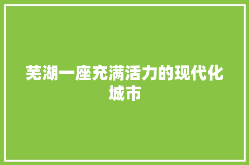 芜湖一座充满活力的现代化城市