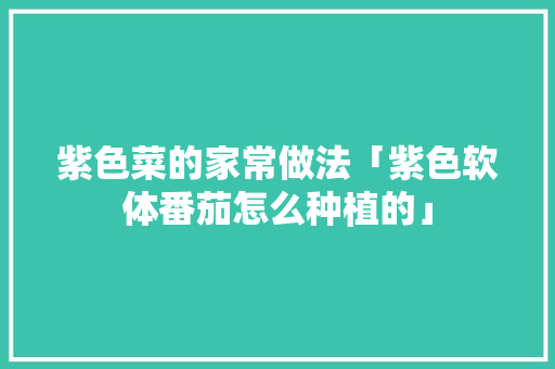 紫色菜的家常做法「紫色软体番茄怎么种植的」