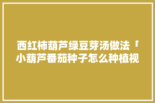 西红柿葫芦绿豆芽汤做法「小葫芦番茄种子怎么种植视频」