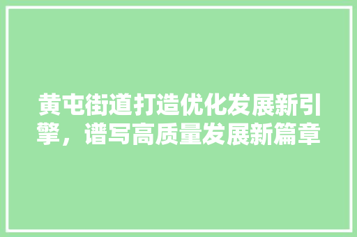 黄屯街道打造优化发展新引擎，谱写高质量发展新篇章