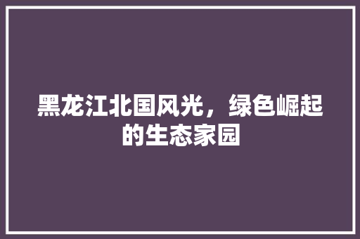 黑龙江北国风光，绿色崛起的生态家园