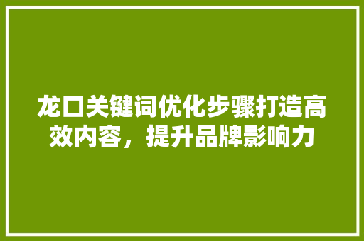 龙口关键词优化步骤打造高效内容，提升品牌影响力