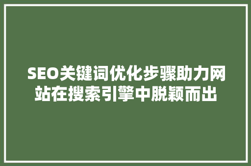 SEO关键词优化步骤助力网站在搜索引擎中脱颖而出 种植技巧