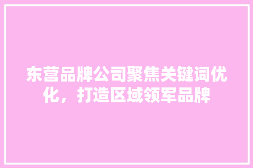 东营品牌公司聚焦关键词优化，打造区域领军品牌